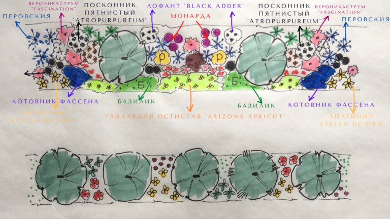 Схема посадки плодового сада