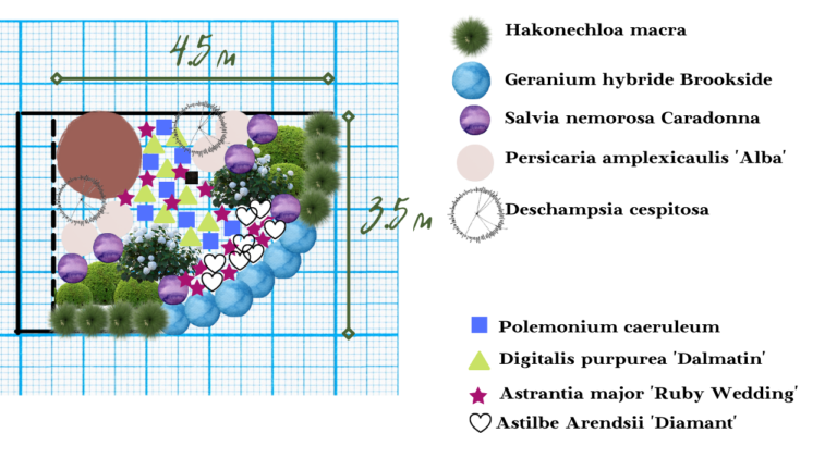 Клумба схема посадки
